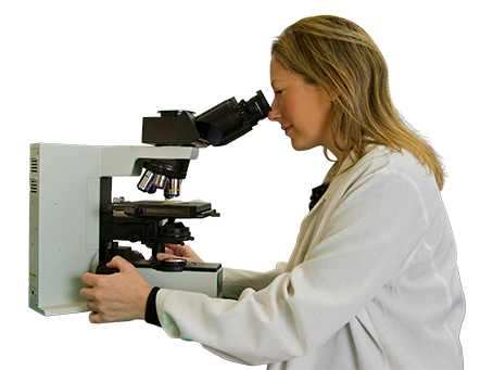 Parent providing mentorship and guest talks to support student learning